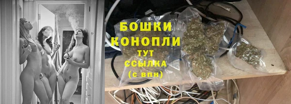 дживик Абаза