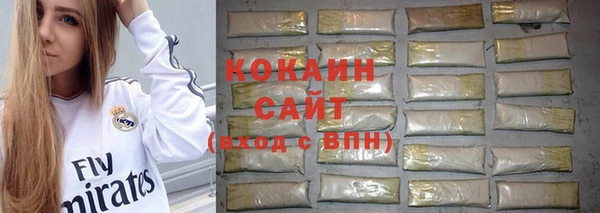 дживик Абаза
