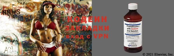дживик Абаза