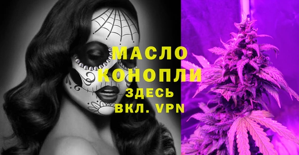дживик Абаза