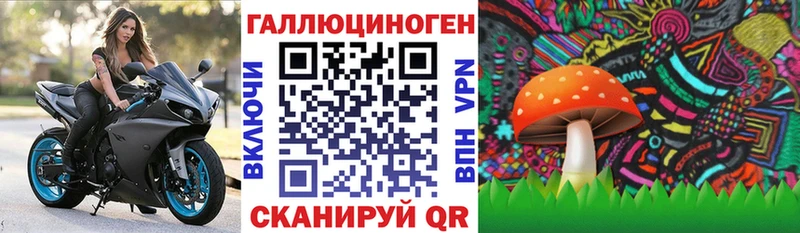 Псилоцибиновые грибы мухоморы  где найти наркотики  МЕГА маркетплейс  маркетплейс официальный сайт  Чкаловск 